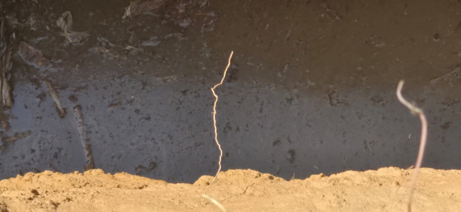 0 Bedroom Property for Sale in Hoopstad Rural Free State